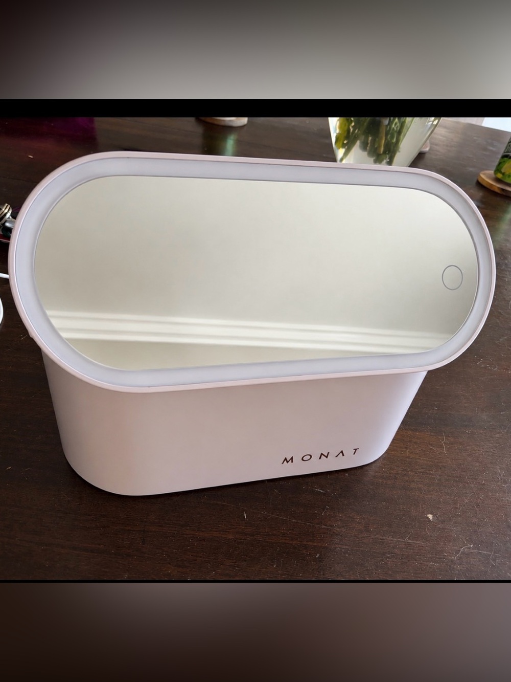 MONAT Lighted Oval Vanity Mirror  with storage/travel